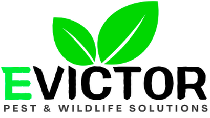 Evictor Pest & Wildlife Solutions